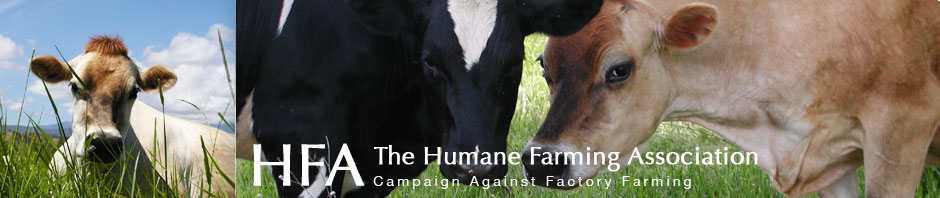 The Humane Farming Association