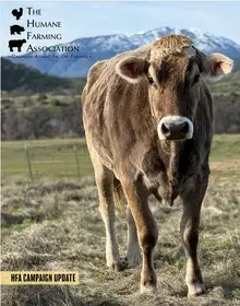 Humane Farming Association  2026 Campaign Update